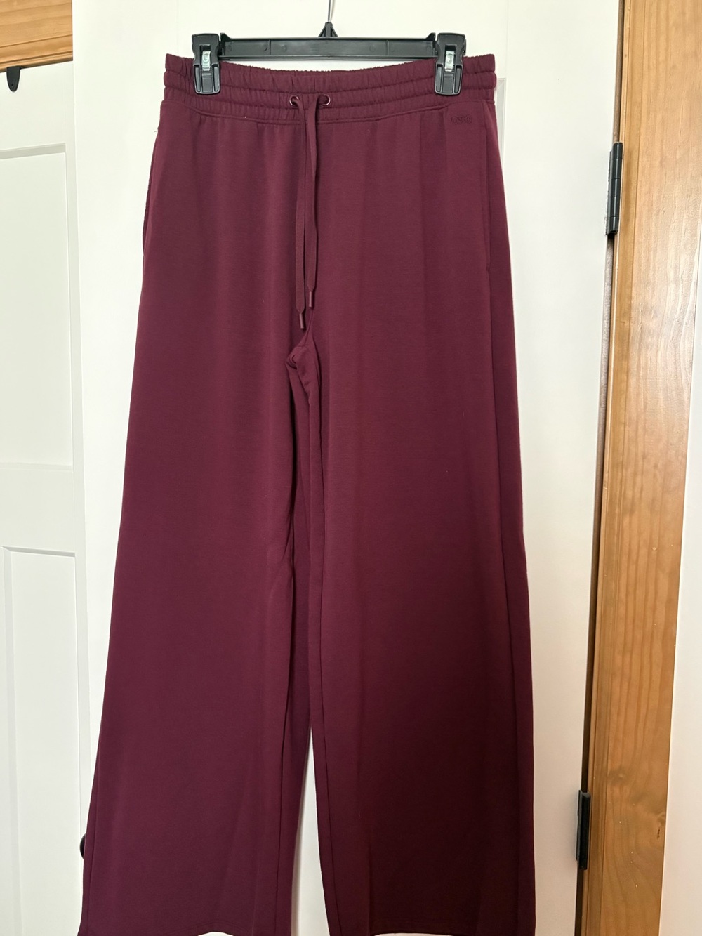 Women’s DSG Wide-Leg Drawstring Pants in Burgundy Size Small